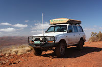 Wombat on a high at Mt Nameless